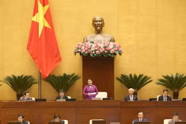 Chủ tịch Quốc hội Nguyễn Thị Kim Ngân phát biểu khai mạc phiên chất vấn và trả lời chất vấn. (Ảnh: Doãn Tấn/TTXVN)