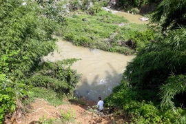 (Ảnh minh họa: Đức Hiếu/TTXVN)