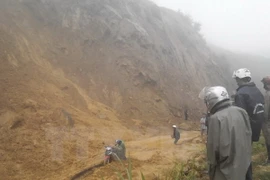 Ảnh minh họa. (Nguồn: TTXVN)