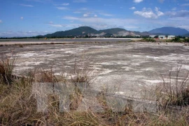 Ảnh minh họa. (Ảnh: Trần Lê Lâm/TTXVN)