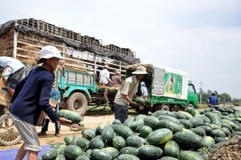 Bộ Công Thương: Lạng Sơn tạo mọi điều kiện xuất khẩu nông sản