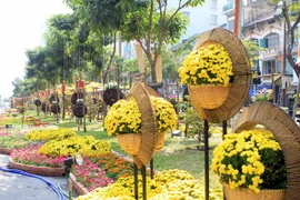 Rực rỡ sắc màu đường hoa, tưng bừng lễ hội đường sách ở TP.HCM