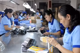 Ảnh minh họa. (Nguồn: TTXVN)