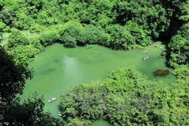 Hội nghị phát triển bền vững trong Công ước Di sản thế giới