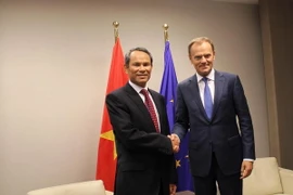 EU luôn coi trọng thúc đẩy hợp tác hiệu quả với Việt Nam