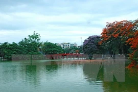 Ảnh minh họa. (Ảnh: Trọng Đạt/TTXVN)