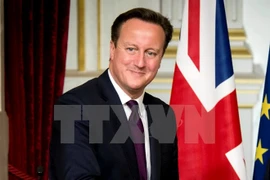 Thủ tướng Anh David Cameron. (Nguồn: THX/TTXVN)