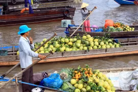 Chợ nổi Cái Răng. (Ảnh: Duy Khương/TTXVN)