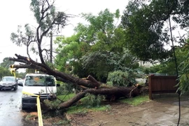 Bão mạnh nhất 5 năm qua đổ bộ Australia làm 3 người thiệt mạng