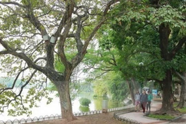 Ảnh minh họa. (Nguồn: TTXVN)