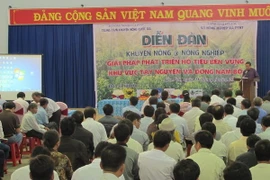 Quang cảnh diễn đàn. (Ảnh: Văn Thông/TTXVN) 