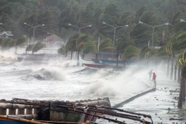 Ảnh minh họa. (Nguồn: TTXVN)