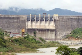 Ảnh minh họa. (Ảnh: Trần Lê Lâm/TTXVN)