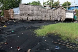 Người dân ở xã Khánh Hải, Cà Mau phải sinh sống trong môi trường ô nhiễm do khói, bụi than từ các nhà máy chế biến bột cá thải ra. (Ảnh: Kim Há/TTXVN) 