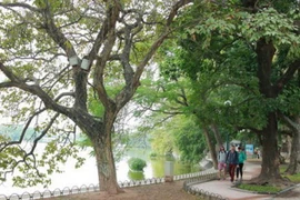 Miền Trung mưa giảm dần, Nam Bộ thời tiết tiếp tục khô nóng