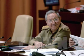 Chủ tịch Raul Castro. (Nguồn: THX/TTXVN)