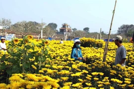 Các vùng trên cả nước trời nắng ấm, Nam Trung bộ có mưa rào 