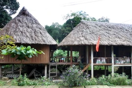 Nhà sàn truyền thống của người Bru-Vân Kiều ở Quảng Trị. (Ảnh: Hồ Cầu/TTXVN)