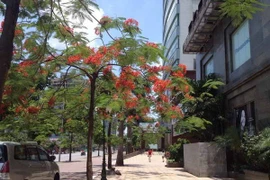 Tây Bắc Bộ, Bắc và Trung Trung Bộ nắng nóng kéo dài 2-3 ngày