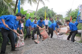 (Ảnh minh họa: Trần Thị Thanh Hiền/TTXVN)