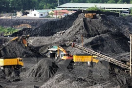 Ảnh minh họa. (Ảnh: Trọng Đạt/TTXVN)