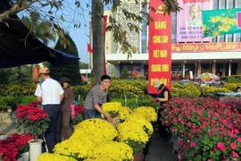 Tràn ngập những sắc màu rực rỡ ngày Xuân ở chợ hoa Cố đô Huế