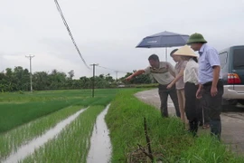 Lãnh đạo Sở Nông nghiệp và Phát triển Nông thôn tỉnh Hải Dương kiểm tra tình hình úng ngập tại vùng trồng hành xã Thái Thịnh, huyện Kinh Môn. (Ảnh: Mạnh Minh/TTXVN)