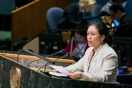 Đại sứ Nguyễn Phương Nga, Trưởng Phái đoàn Đại diện Thường trực Việt Nam tại Liên hợp quốc. (Nguồn: TTXVN) 