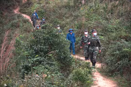 Cán bộ, chiến sỹ Đồn Biên phòng Bạch Đích (huyện Yên Minh, Hà Giang) tuần tra bảo vệ biên giới. (Ảnh: TTXVN phát)