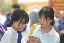 (Ảnh minh họa: Thanh Tùng/TTXVN)