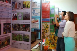 Tham quan các dự án tham gia cuộc thi. (Ảnh: Tường Vi/TTXVN)