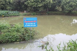 (Ảnh minh họa: Nguyễn Nam/TTXVN)