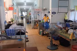Dịch sốt xuất huyết tại Quảng Bình diễn biến rất phức tạp.