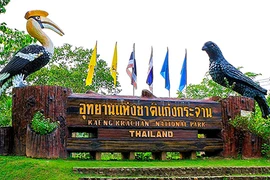 Khu Tổ hợp rừng Kaeng Krachen. (Ảnh: Tổng cục Du lịch Thái Lan)