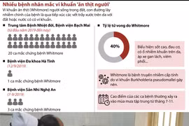 Ngày càng xuất hiện nhiều ca nhiễm "vi khuẩn ăn thịt người" Whitmore