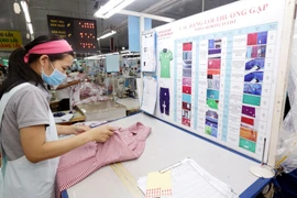 Ảnh minh họa. (Nguồn: TTXVN)