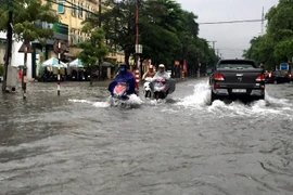 Ảnh minh họa. (Nguồn: TTXVN)