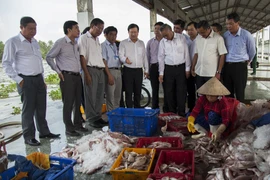 Phó Thủ tướng Trịnh Đình Dũng kiểm tra công tác khắc phục thẻ vàng IUU tại Kiên Giang. (Ảnh: Hồng Đạt/TTXVN)