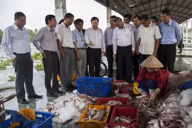 Phó Thủ tướng Trịnh Đình Dũng kiểm tra công tác khắc phục thẻ vàng IUU tại Kiên Giang. (Ảnh: Hồng Đạt/TTXVN)
