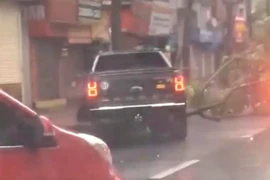 Xe Ford Ranger Raptor ủi cây trên đường.