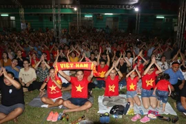 Đông đảo cổ động viên và người hâm mộ tại Sân vận động Hoa Lư vui mừng khi Đội tuyển Việt Nam ghi bàn vào lưới Đội tuyển UAE. (Ảnh: Thanh Vũ/TTXVN)