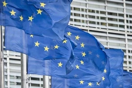 Ảnh minh họa. (Nguồn: Reuters)