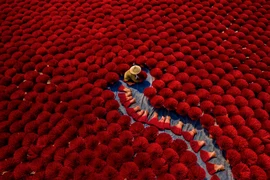 Tác phẩm của nhiếp ảnh gia Khanh Tran dự thi hạng Mở, chủ đề Du lịch. (Ảnh: Sony World Photography Awards 2020) 