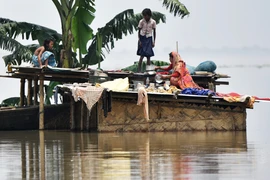 Cảnh ngập lụt tại Kamrup, bang Assam, Ấn Độ. (Ảnh: AFP/TTXVN) 