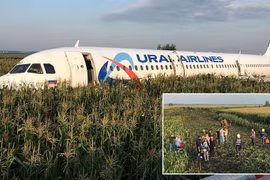 Máy bay A321 của Ural Airlines. (Ảnh: Reuters)