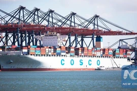 Tàu hàng Trung Quốc tại cảng Rotterdam của Hà Lan. (Ảnh: THX)