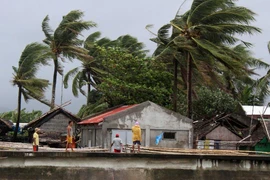 Bão Kammuri càn quét qua Philippines. (Ảnh: EPA)