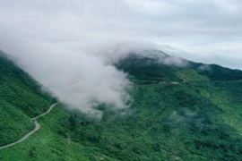 Hình ảnh độc đáo cảnh mây phủ đỉnh đèo Hải Vân ngày đầu Xuân 2022 