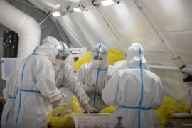 Nhân viên y tế kiểm tra các mẫu xét nghiệm COVID-19 tại phòng thí nghiệm ở Cáp Nhĩ Tân, tỉnh Hắc Long Giang, Trung Quốc. (Ảnh: THX/TTXVN)