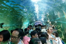 Khu vực Thủy cung tại Công viên Thiên đường Bảo Sơn bị tắc nghẽn cục bộ do lượng khách quá đông. (Ảnh: Đinh Thuận/TTXVN)